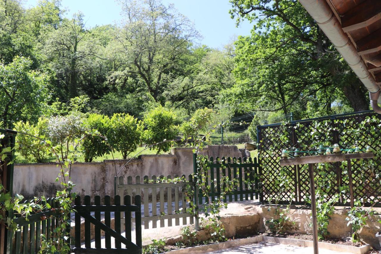 Apartamentos Rurales Casa Lafuente Luquiano Екстериор снимка